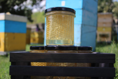 Сотовый акациевый мёд в стеклянной баночке 0.4 кг  2023 г.